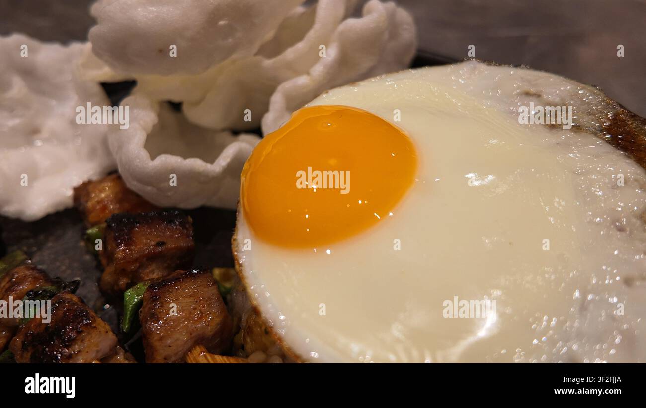 Frisches goldenes Eigelb mit lebendiger Farbe, ideal für Lebensmittel, Kochen und Ernährungsbegriffe. Stockfoto