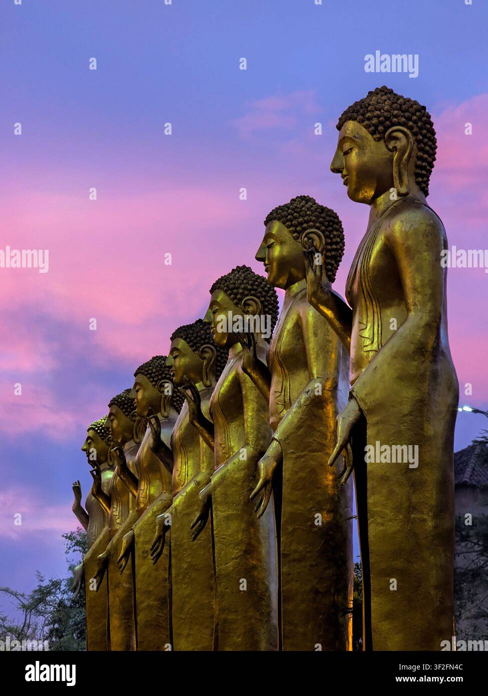 Goldene Buddha-Statuen, die in einer Reihe vor einem dramatischen rosa und lila Sonnenuntergangshimmel in Sri Lanka stehen. - Smartphone-aufgenommenes Stockfoto