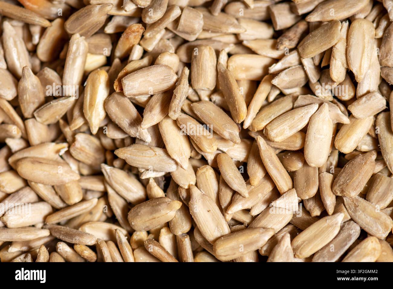 Natürliche biologische, gentechnikfreie Sonnenblumenkerne füllen das Bild. Ideal für Konzepte rund um gesunde Ernährung Stockfoto