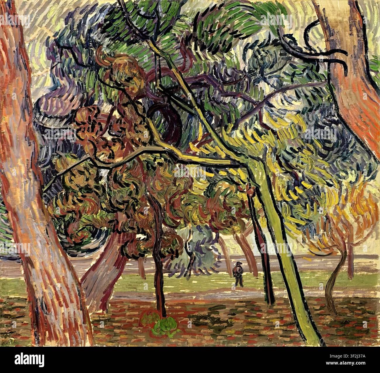 Vincent van Gogh – Kiefern im Garten des Asyls / Studie von Kiefern, 1889 postimpressionistische Landschaft, Öl auf Leinwand Stockfoto