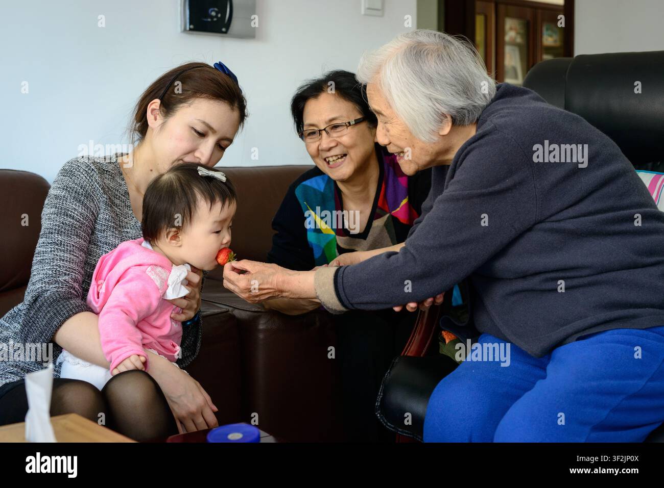 Drei Erwachsene versammeln sich um ein Baby, während ein Erwachsener dem Baby eine Erdbeere neben einer braunen Couch anbietet. Stockfoto