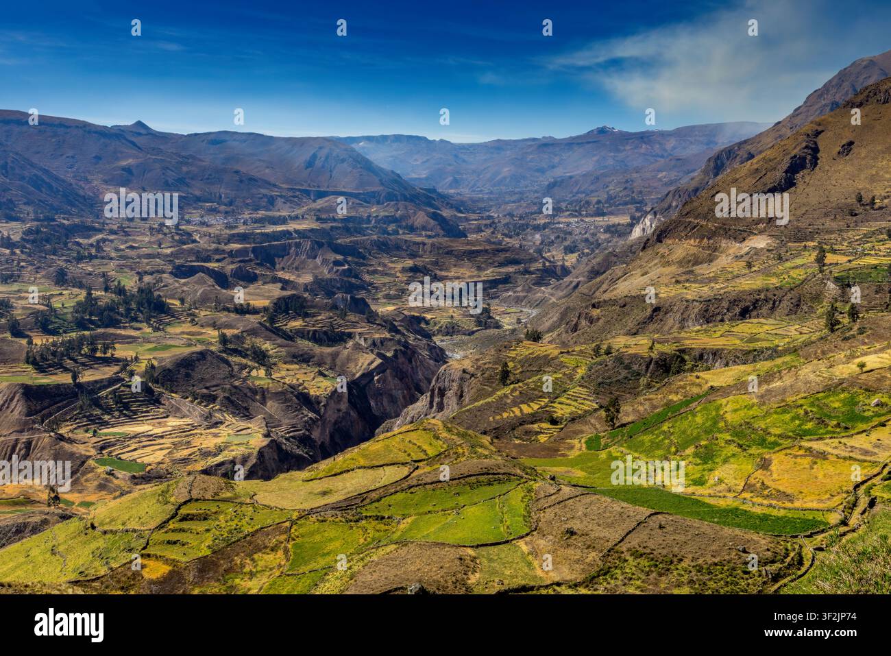 Weite terrassierte Tallandschaft am Mirador Cruz del Condor im Süden Perus mit tiefen Canyonaussichten, windendem Fluss und dramatischen Andenbergen Stockfoto