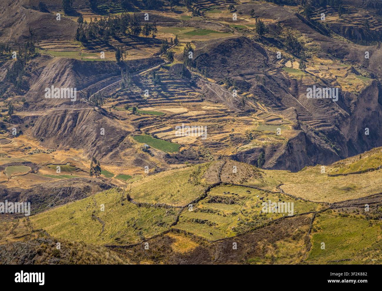 Terrassenförmige landwirtschaftliche Hänge und zerklüftete Andenberge nahe Mirador Cruz del Condor zeigen die dramatische Hochlandtal-Landschaft Perus Stockfoto