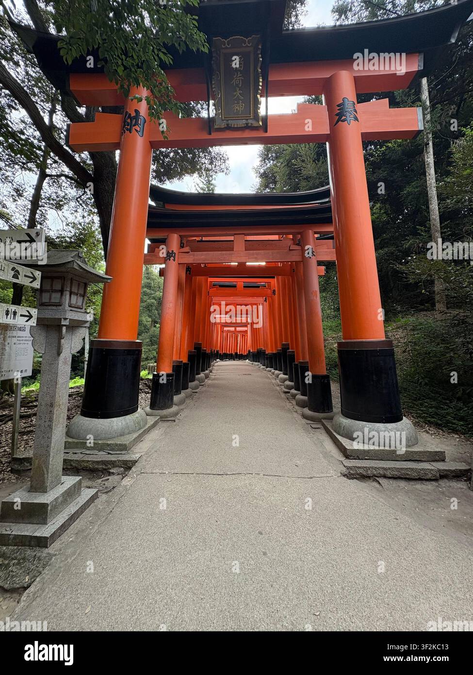 1. August 2025, Kyoto, Japan – Ikonisches rotes Torii-Tor, das einen Tunnelweg am Fushimi-Inari-Schrein bildet, mit japanischen Inschriften und Steinlaternen. - Smartphone-aufgenommenes Stockfoto