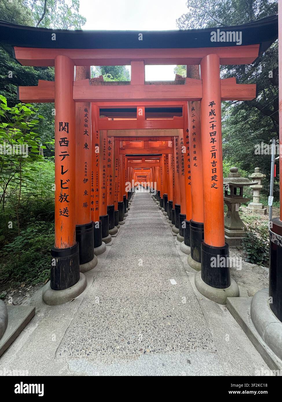 1. August 2025, Kyoto, Japan – Seitliche Perspektive des ikonischen vermilionfarbenen Torii-Tunnels von Fushimi Inari Taisha mit sichtbaren japanischen Kanji-Spenderinschriften auf den Säulen. - Smartphone-aufgenommenes Stockfoto
