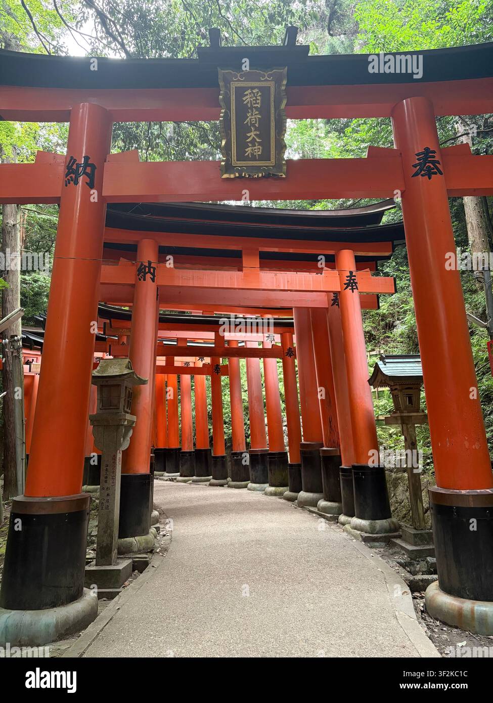 1. August 2025, Kyoto, Japan – Nahaufnahme von zinnoberroten Torii-Toren am Fushimi-Inari-Schrein mit einer japanisch beschrifteten goldenen Plakette, Steinlaternen und Wald. - Smartphone-aufgenommenes Stockfoto