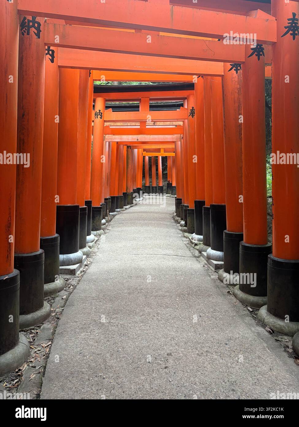 1. August 2025, Kyoto, Japan – Seitliche Blickwinkelansicht durch einen roten Torii-Tunnel am Schrein Fushimi Inari Taisha, der Kanji-Inschriften und Steinbasen zeigt. - Smartphone-aufgenommenes Stockfoto