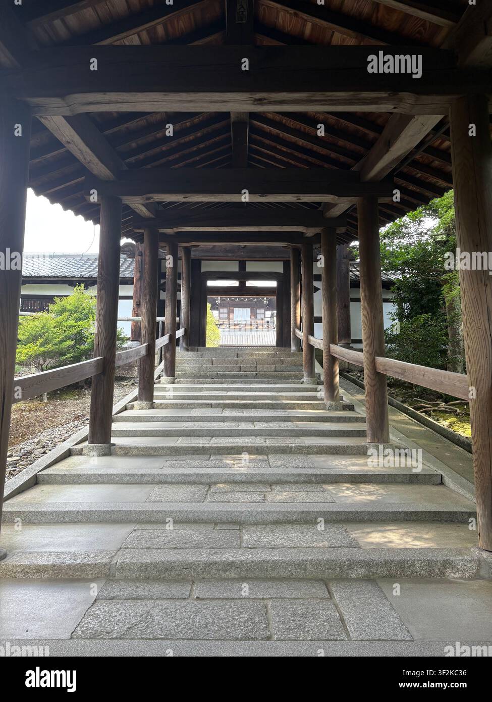 1. August 2025, Kyoto, Japan – Perspektivische Ansicht durch aufeinanderfolgende hölzerne Torii-Tore und Säulen eines traditionellen Shinto-Schreins, sommerliches Grün sichtbar. - Smartphone-aufgenommenes Stockfoto