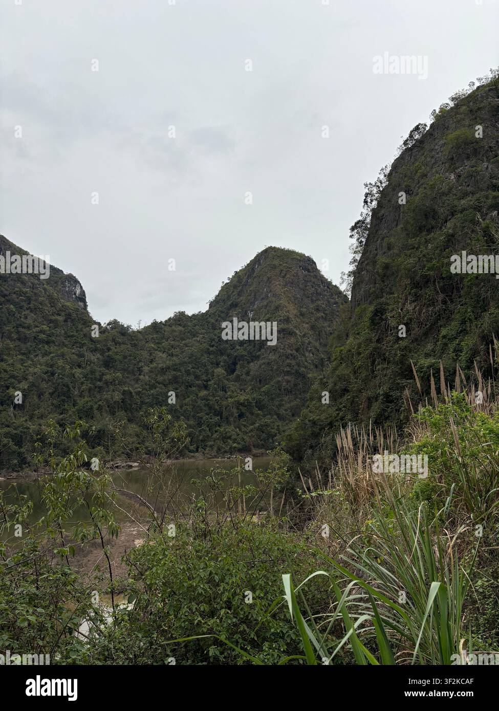 Grüne Karstkalkklippen, bedeckt mit üppiger tropischer Vegetation, die einen Fluss überblicken, Region Hai Phong, Norden Vietnams, bewölkter Himmel. - Smartphone-aufgenommenes Stockfoto