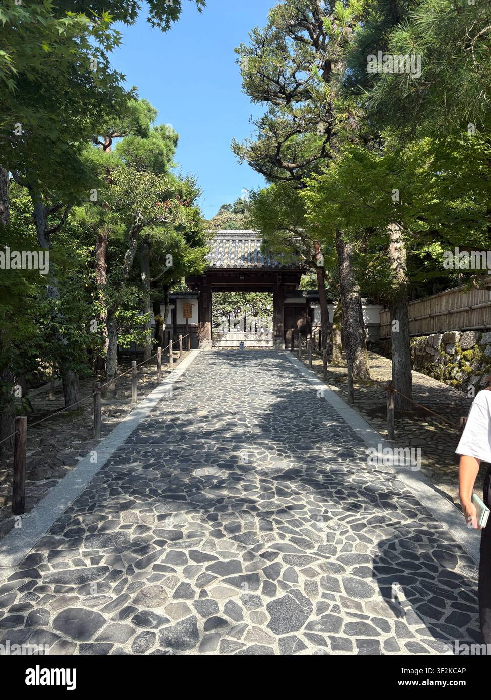 4. August 2025, Kyoto, Japan – Traditioneller Kopfsteinpflasterweg, der zu einem Holztor eines japanischen Tempelgartens führt, üppige Kiefern und Ahornbäume unter einem klaren blauen Himmel. - Smartphone-aufgenommenes Stockfoto