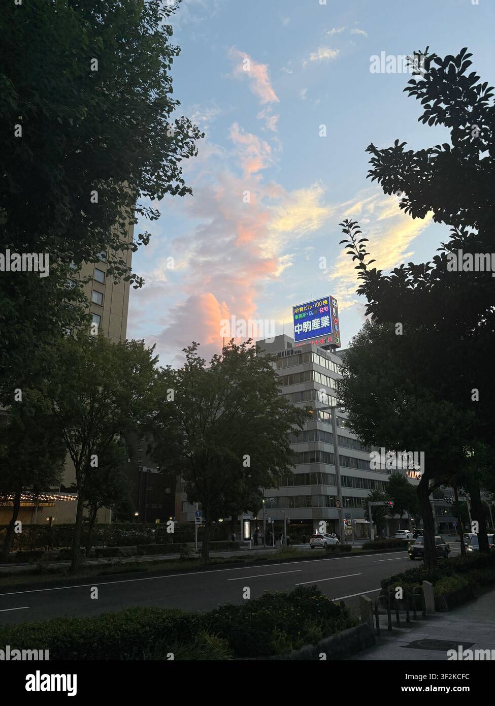 7. August 2025, Nagoya, Japan – Baumgesäumte städtische Allee in der Dämmerung mit leuchtender japanischer Werbetafel, rosa Wolken und modernen Gebäuden im Hintergrund. - Smartphone-aufgenommenes Stockfoto
