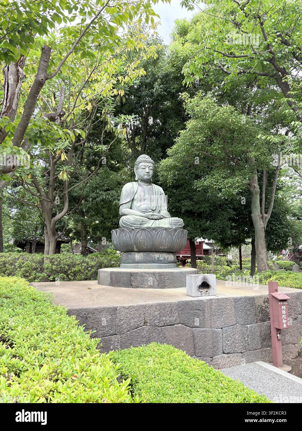 14. August 2025, Taito, Tokio, Japan – Bronzene sitzende Buddhastatue, umgeben von üppigen grünen Bäumen in einem traditionellen japanischen Tempelgarten, Steinweg daneben. - Smartphone-aufgenommenes Stockfoto