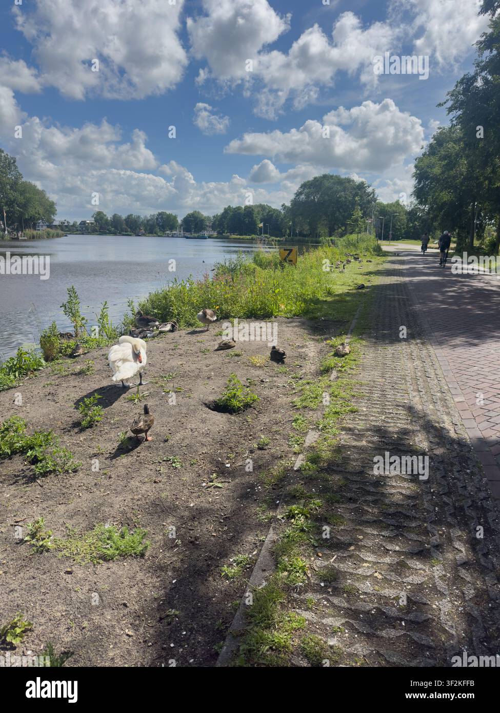 Ägyptische Gans und Radfahrer auf dem holländischen Kanaltreidelpfad, Amsterdam Niederlande - Smartphone-aufgenommenes Stockfoto