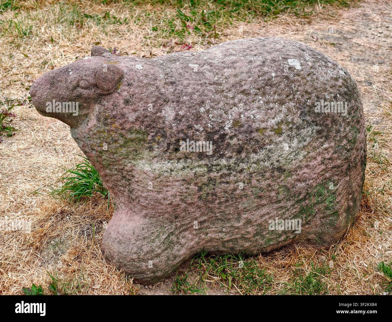 Steinschaf-Skulptur im Tegg's Nose Country Park, Cheshire, UK Stockfoto