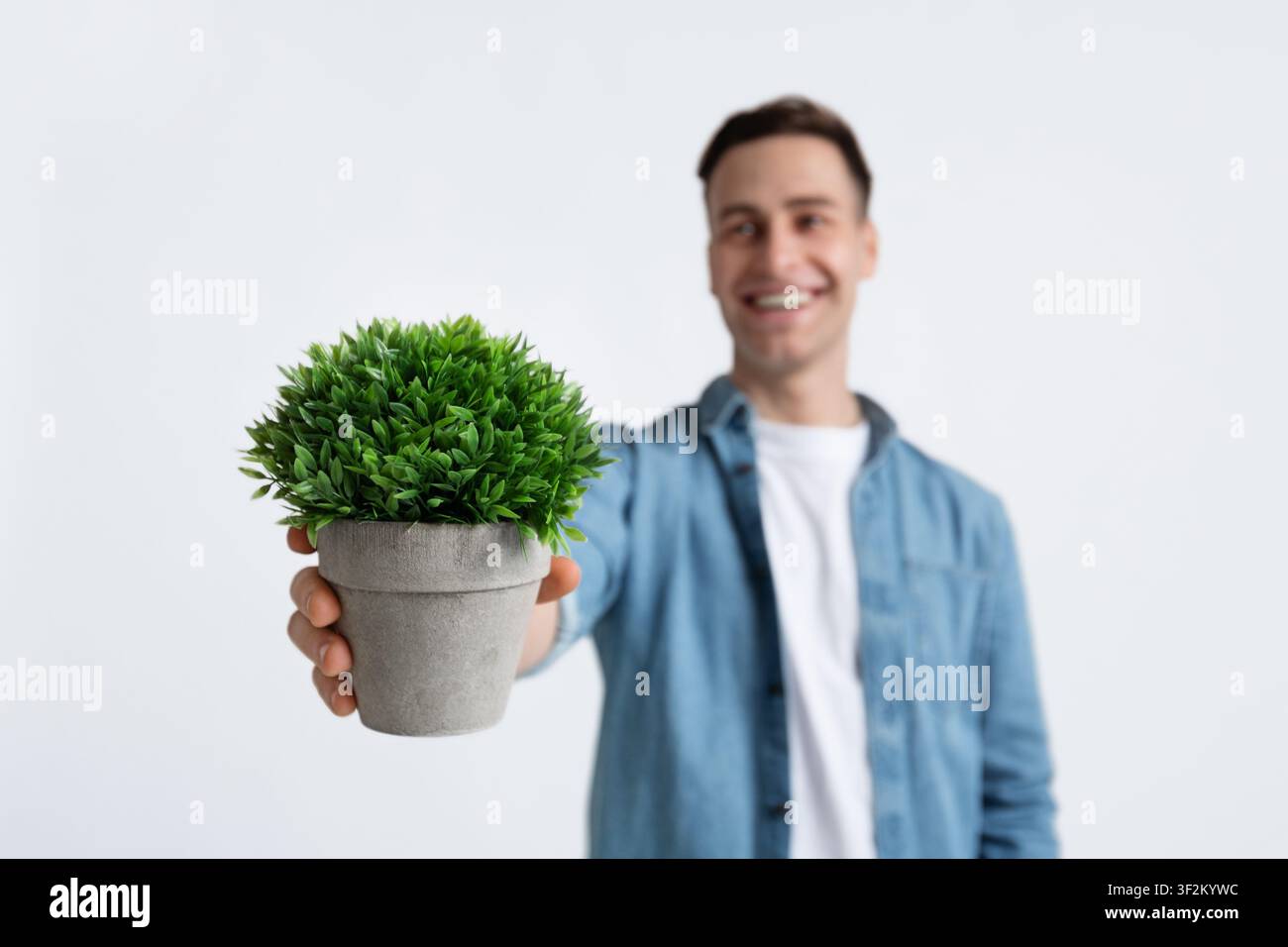 Topfpflanze in Herrenhand auf weißem Hintergrund Stockfoto