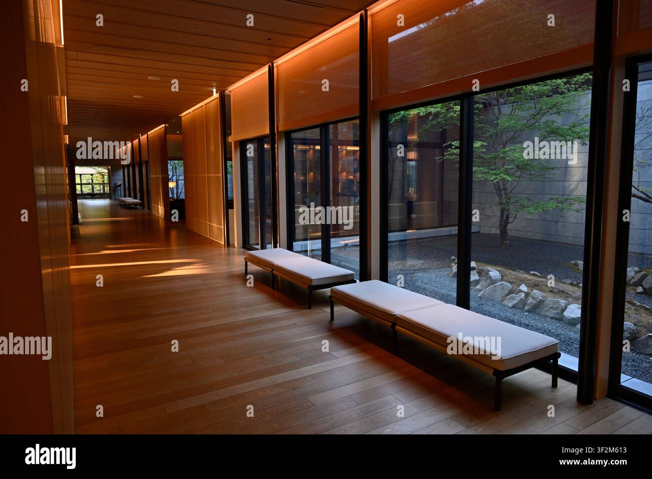 Modischer japanischer Hotelkorridor mit Blick auf einen ruhigen, Zen-inspirierten Innenhofgarten in Nikko, Präfektur Tochigi, Japan. Warme Holzinterieurs, fl Stockfoto