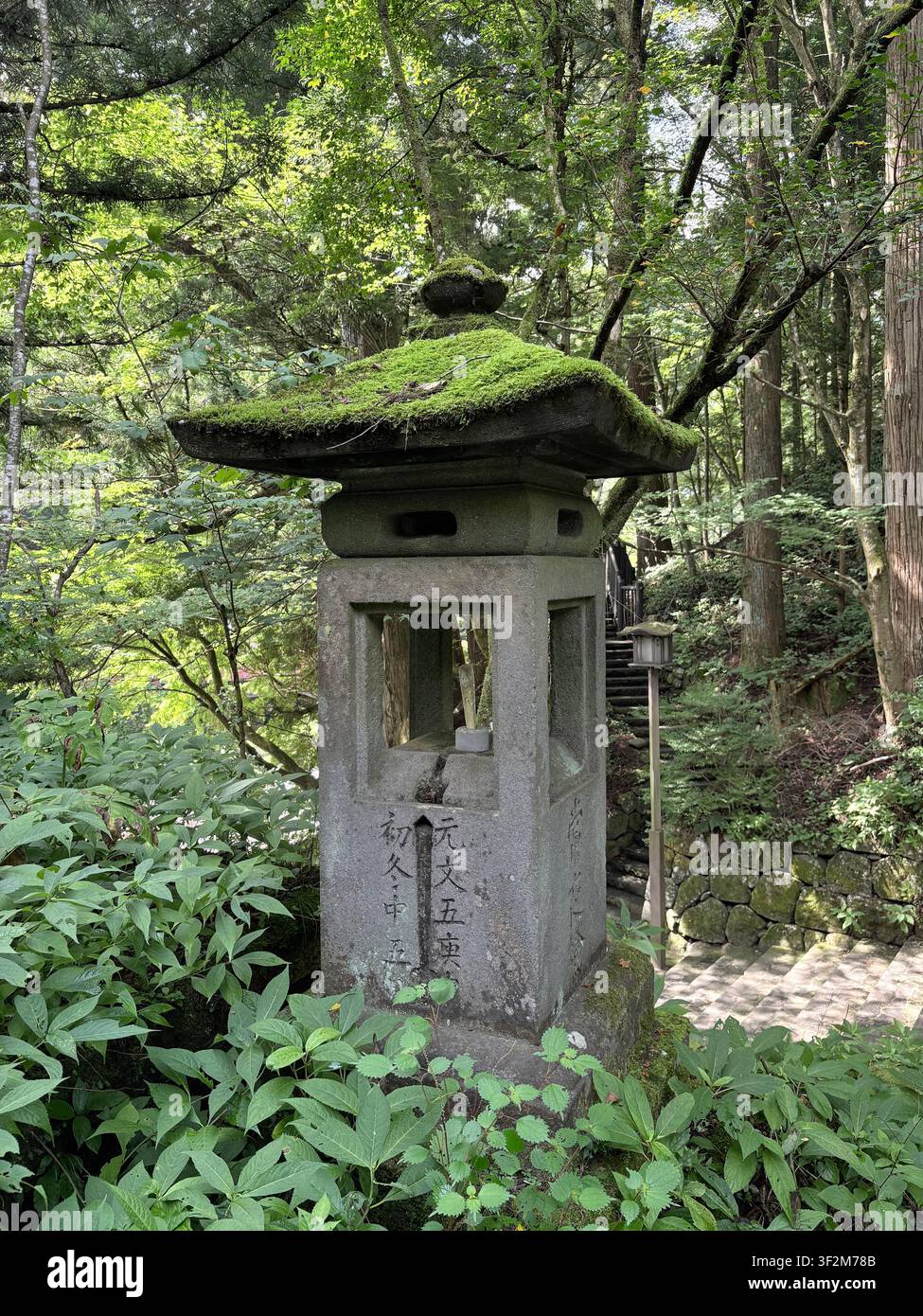 17. August 2025, NikkÅ, Japan – Alter moosbewachsener Steinlaterne mit eingravierten Kanji-Inschriften in einem üppigen Wald im UNESCO-Weltkulturerbe-Schreincomplex von NikkÅ. - Smartphone-aufgenommenes Stockfoto