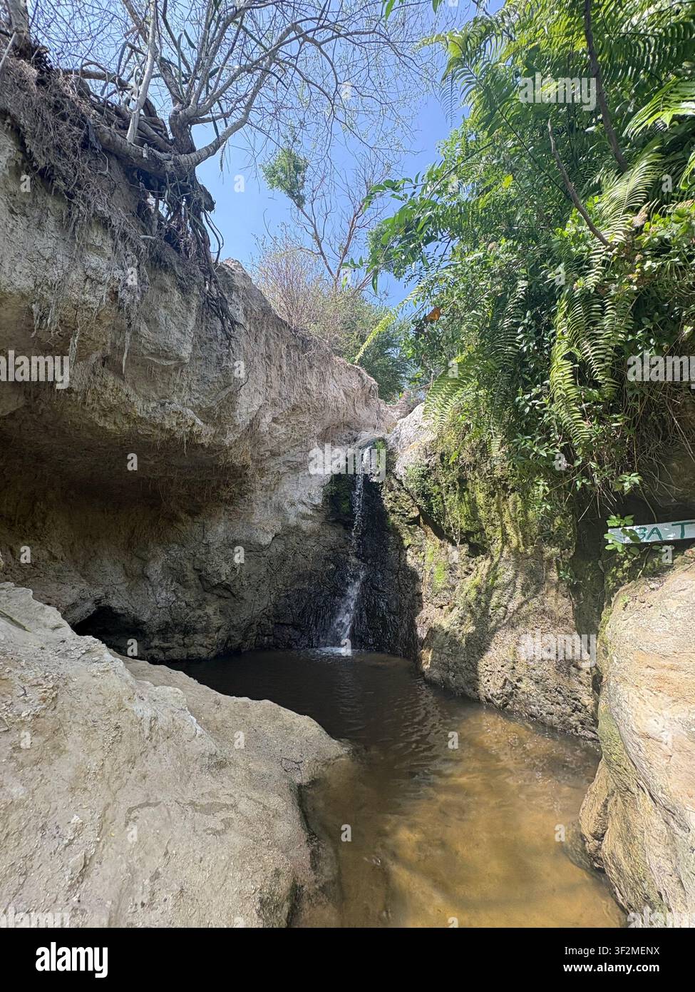 Dramatischer Aufblick auf einen versteckten Wasserfall, der zwischen Kalksteinformationen hinabstürzt, eingerahmt von tropischen Bäumen und blauem Himmel, Provinz Lãm Äá”ng, Vietnam. - Smartphone-aufgenommenes Stockfoto