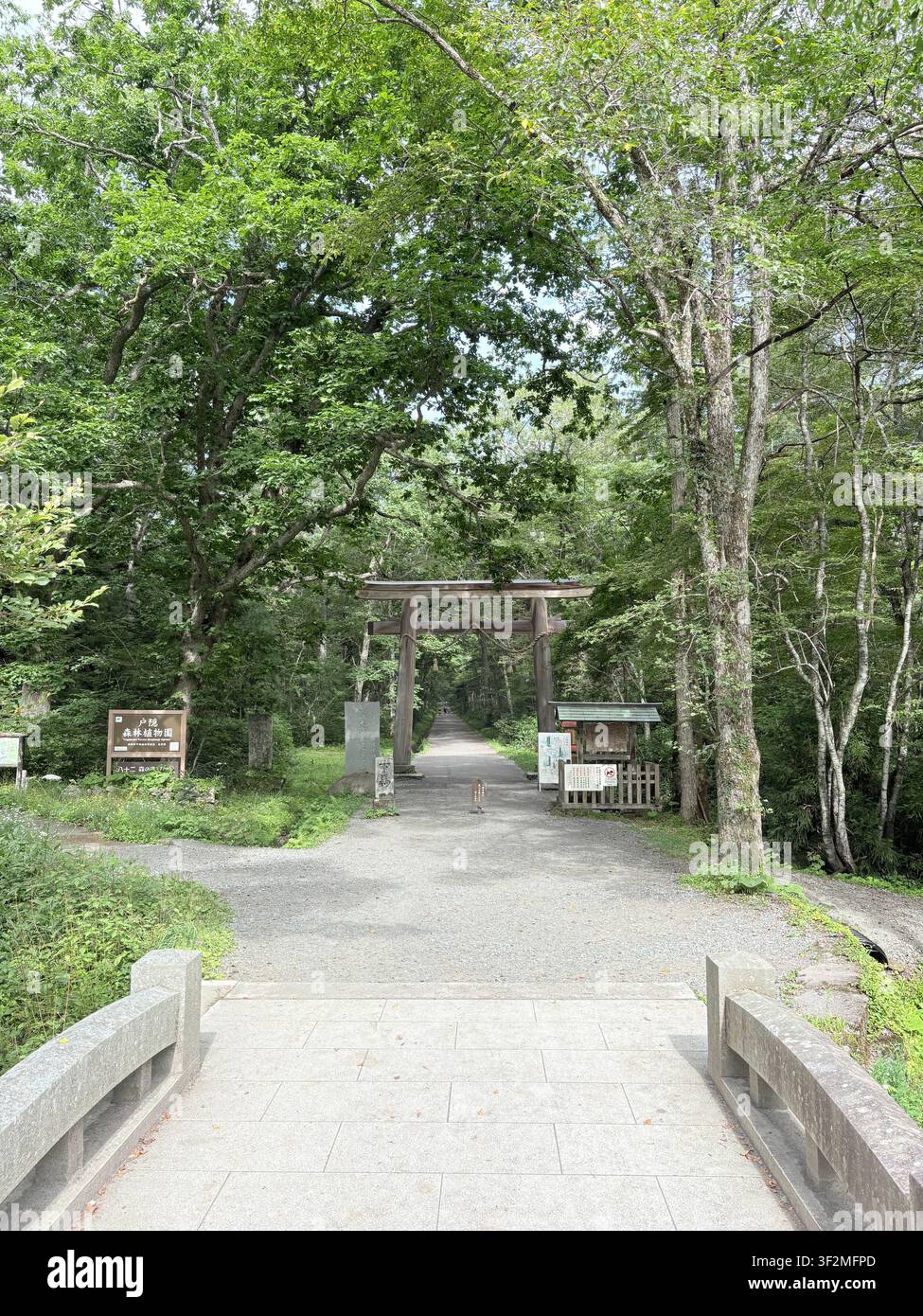 29. August 2025, Nagano, Japan – Holztorii-Tor und Steinweg durch einen üppigen grünen Wald an einem Shintoschrein in Nagano, mit sichtbaren japanischen Schildern. - Smartphone-aufgenommenes Stockfoto