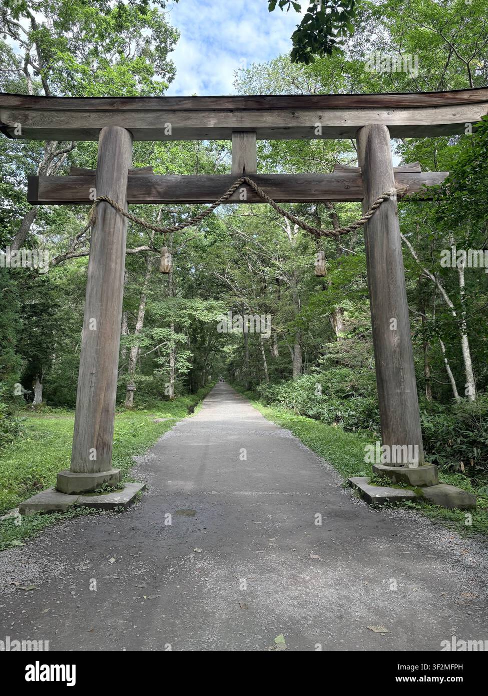 29. August 2025, Nagano, Japan – Reihe verwitterter Holz-Torii-Tore mit Seil-Shimenawa, die einen Kiesweg durch einen üppigen grünen Wald an einem Shinto-Schrein säumen. - Smartphone-aufgenommenes Stockfoto