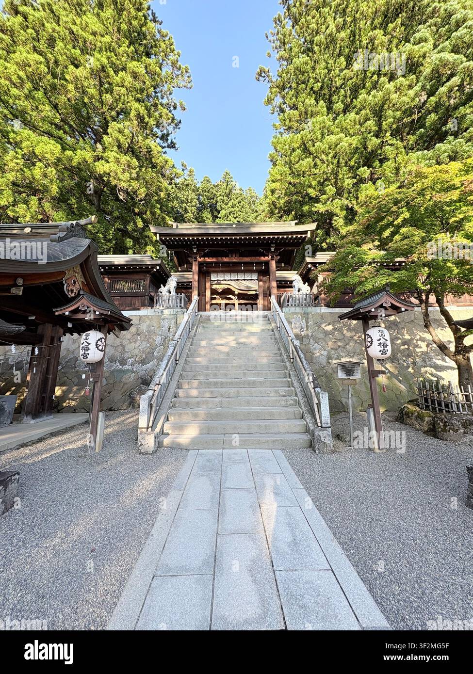30. August 2025, Takayama, Japan – Traditioneller Shintoschrein mit kunstvoller Holzarchitektur, steinerner Treppe, Chochin-Papierlaternen und üppigen Zedernbäumen, Hida-Region. - Smartphone-aufgenommenes Stockfoto