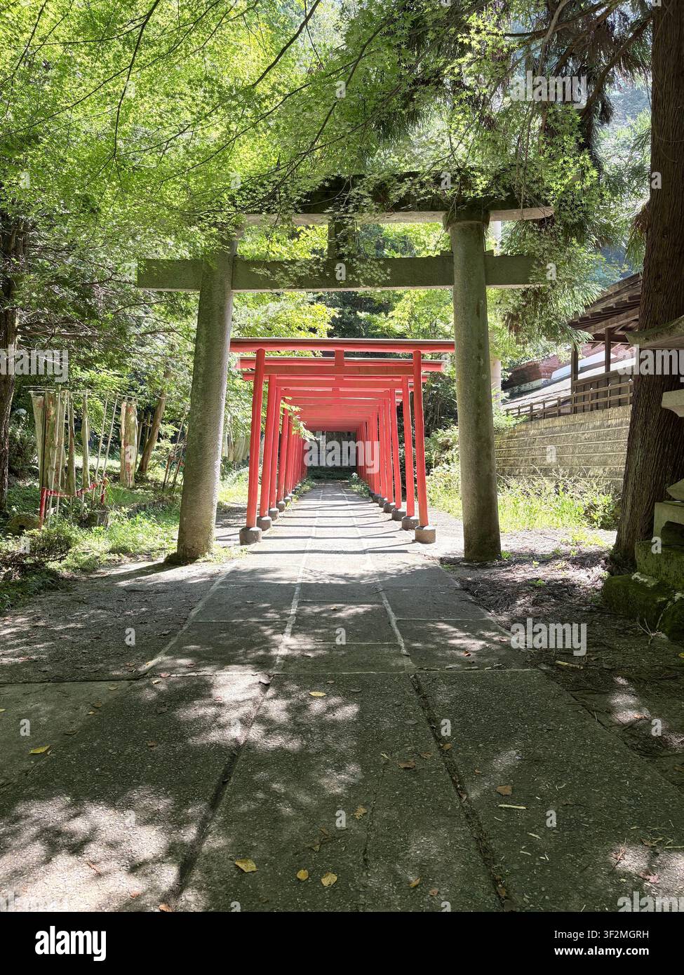 31. August 2025, Takayama, Japan – Immersives Perspektivbild durch aufeinanderfolgende rote Torii-Tore an einem Shintoschrein in Takayama, Präfektur Gifu, umgeben von üppigem grünem Wald. Stockfoto
