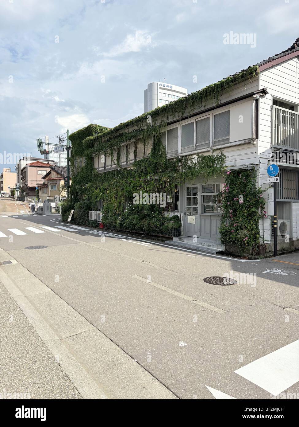4. September 2025, Kanazawa, Japan – Urbane Straßenszene mit einer stark von Ranken überwucherten Gebäudefassade, Kletterpflanzen und Blumen, Fahrradwegmarkierungen und japanischem Straßenschild. - Smartphone-aufgenommenes Stockfoto