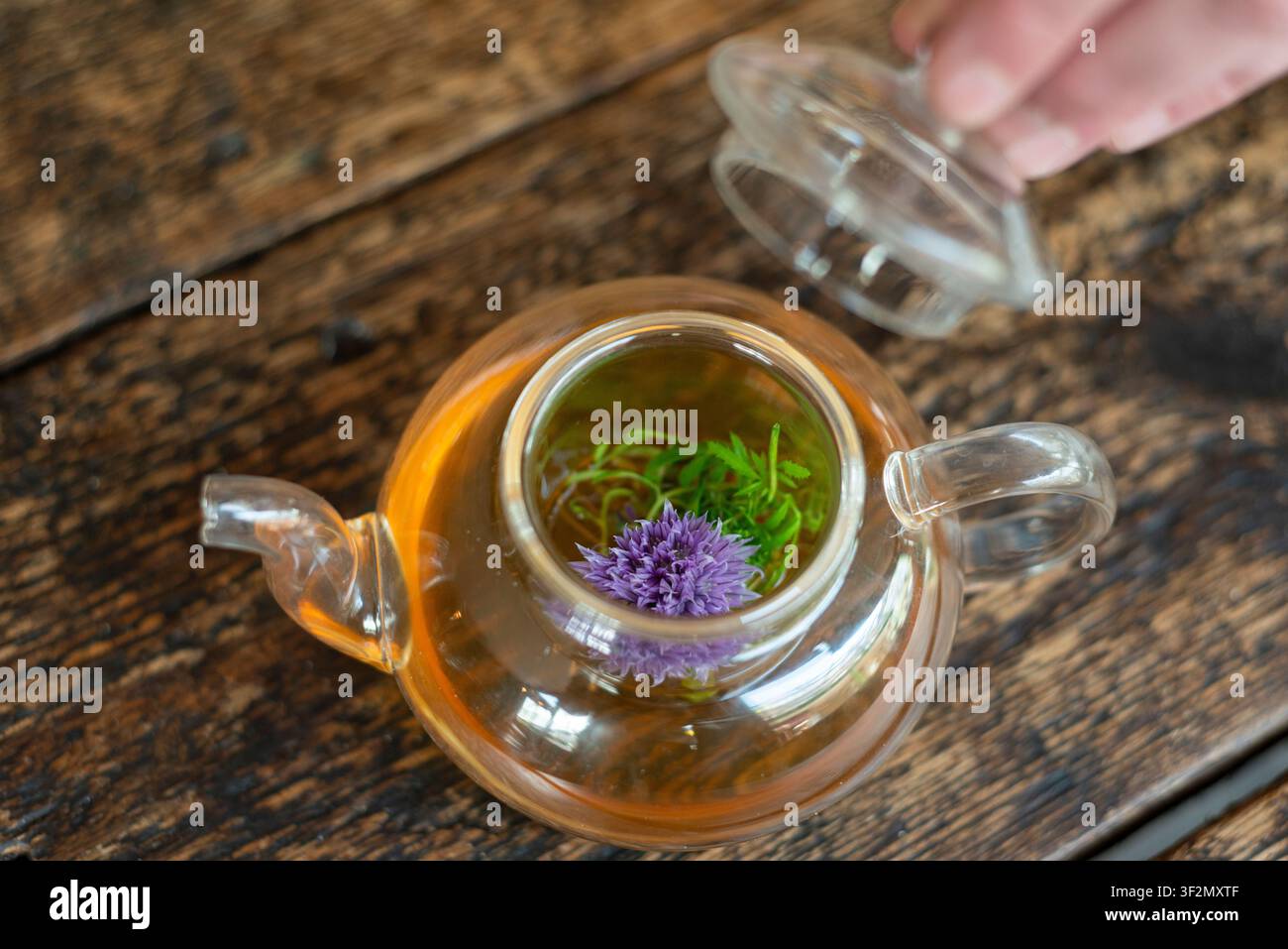 Farbenfroher Kräutertee wird in einer bezaubernden Glas-Teekanne auf einem rustikalen Holztisch zubereitet Stockfoto