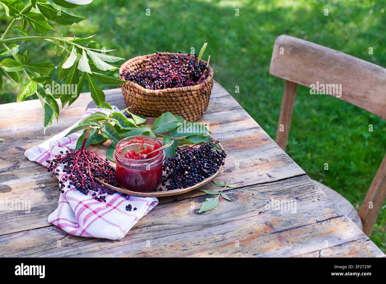Holundermarmelade mit frischen Reifen Beeren, süßes und gesundes Dessert. Hausgemachte Holundermarmelade oder Gelee Stockfoto