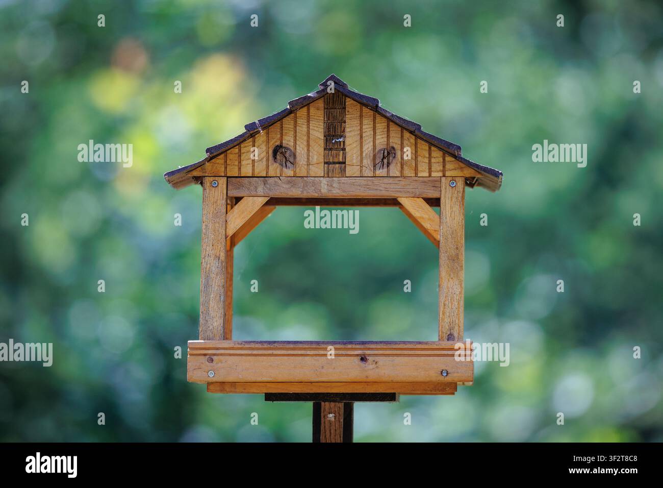 Ein leerer hölzerner Vogelhäuschen in einem Garten mit einem verschwommenen grünen Hintergrund Stockfoto