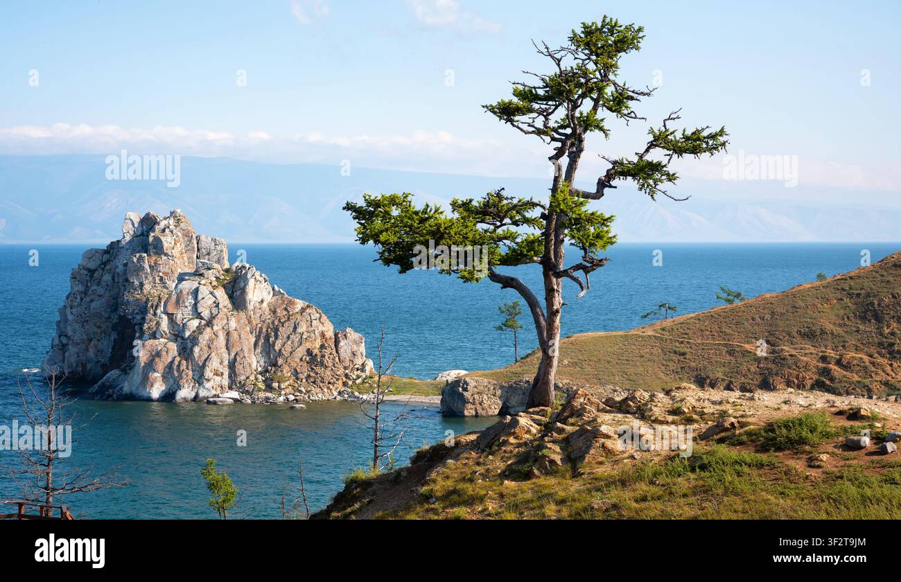 Eine malerische Landschaftsfotografie mit einem markanten Nadelbaum, der im Vordergrund auf einer felsigen Klippe wächst. Im Mittelgrund ein großer, unverwechselbarer Stockfoto