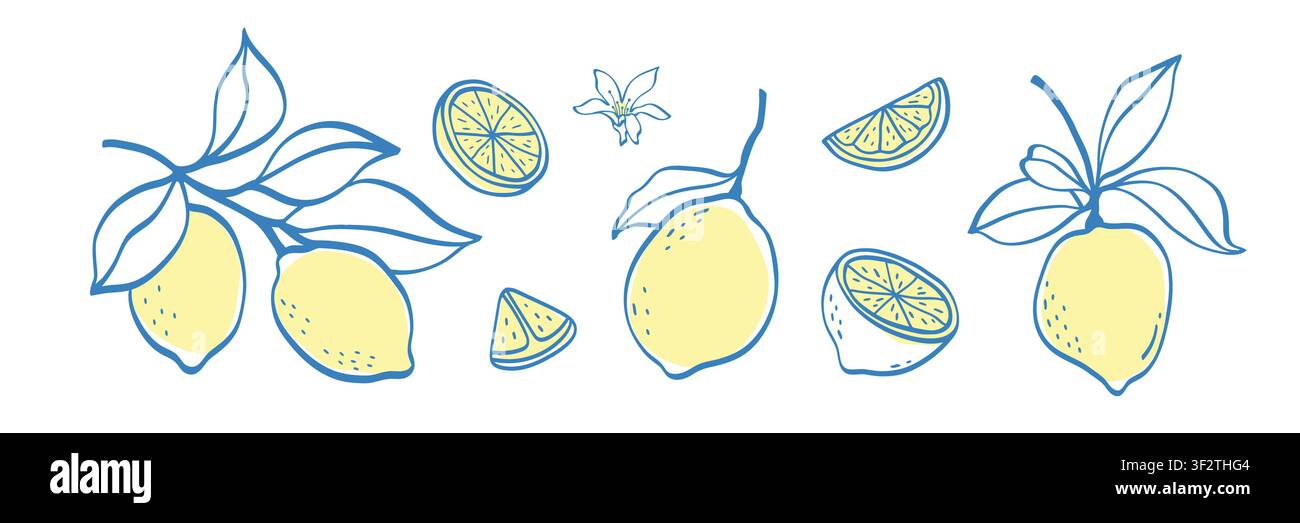 Handgezeichnetes Linearkunststück Zitronensatz. Vintage-Doodle-Illustrationen mit ganzen Früchten, geschnittenen Stücken, Laub, Blume. Stock Vektor