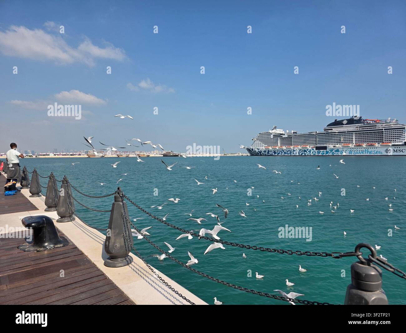 Möwen, die über türkisfarbenem Wasser neben einer hölzernen Uferpromenade fliegen, mit einem großen Kreuzfahrtschiff im Hintergrund unter einem blauen Himmel - Smartphone-aufgenommenes Stockfoto