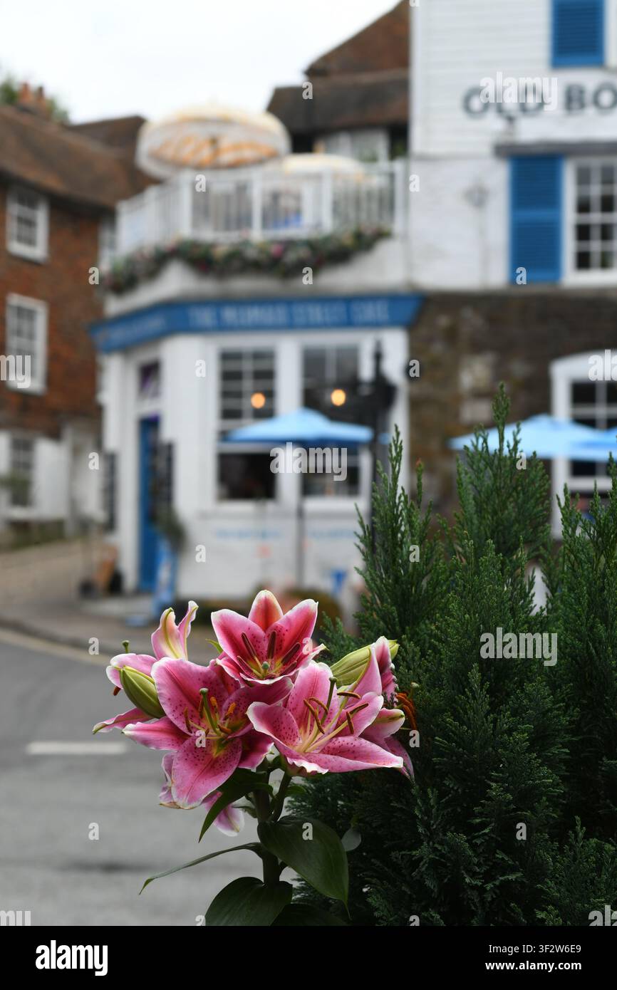Lilien im Hafen von Rye Stockfoto
