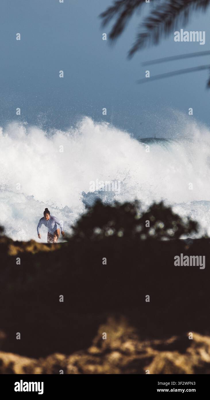 HALEIWA, NORTH SHORE, HAWAII - 19. JANUAR 2022: Ein Surfer reitet durch Weißwasser, das hinter dunklem Dünengras an der North Shore zu sehen ist. Stockfoto
