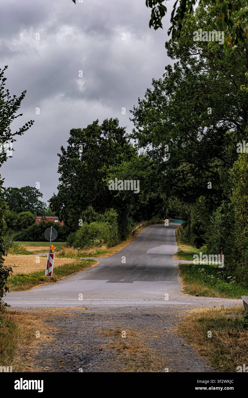 Asphaltierte Landstraße, die einen Hügel hinaufführt, eingerahmt von großen grünen Bäumen unter einem bewölkten Himmel in Coesfeld, Deutschland Stockfoto