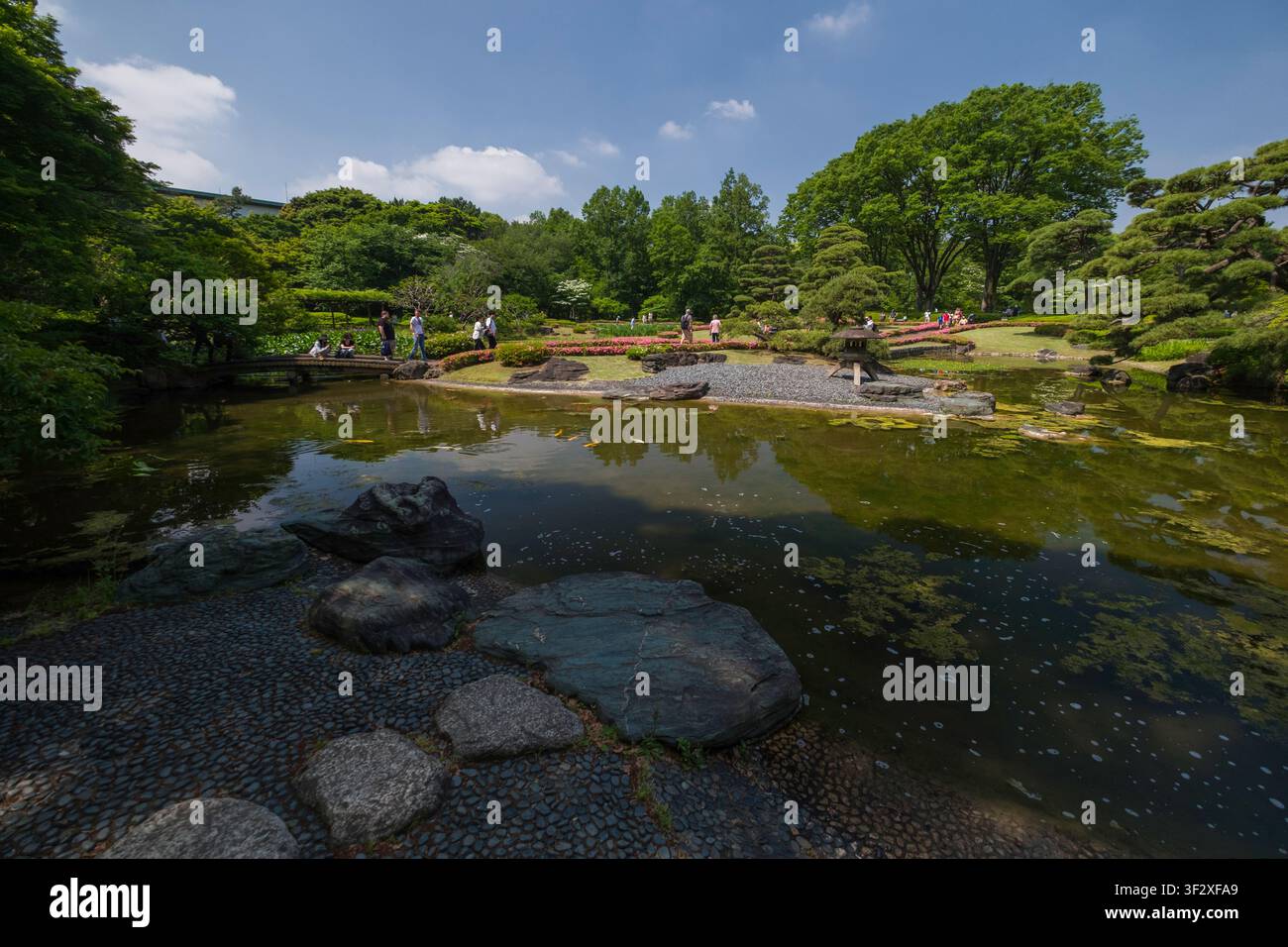 Der Ninomaru-Garten, der innerhalb der Kaiserpalast-Ost-Nationalgärten in Tokio gelegen ist, präsentiert eine ruhige Landschaft aus Teichen, Felsen und sorgfältig gepflegten Stockfoto