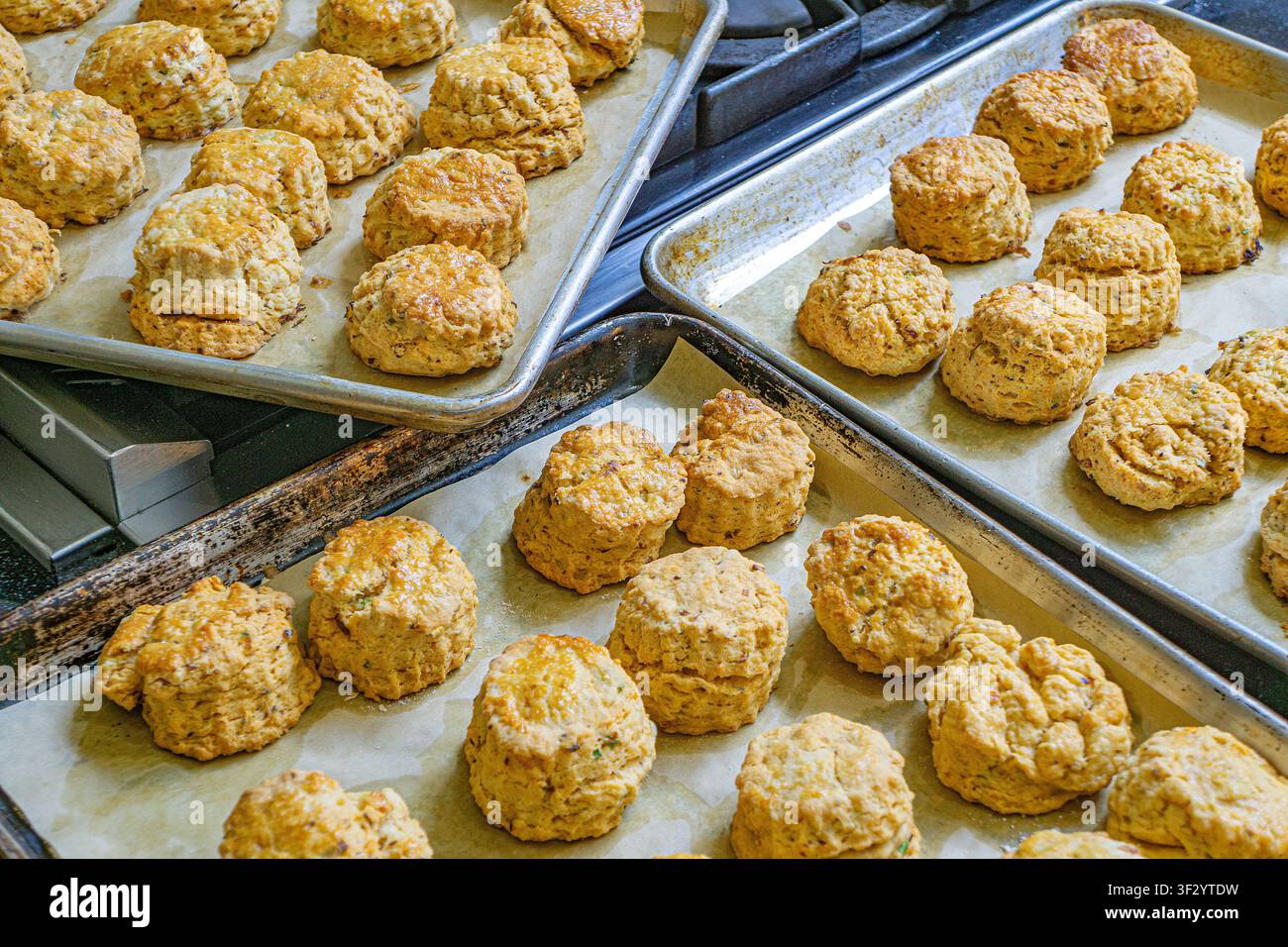 Backbleche gefüllt mit herzhaften Scones Stockfoto
