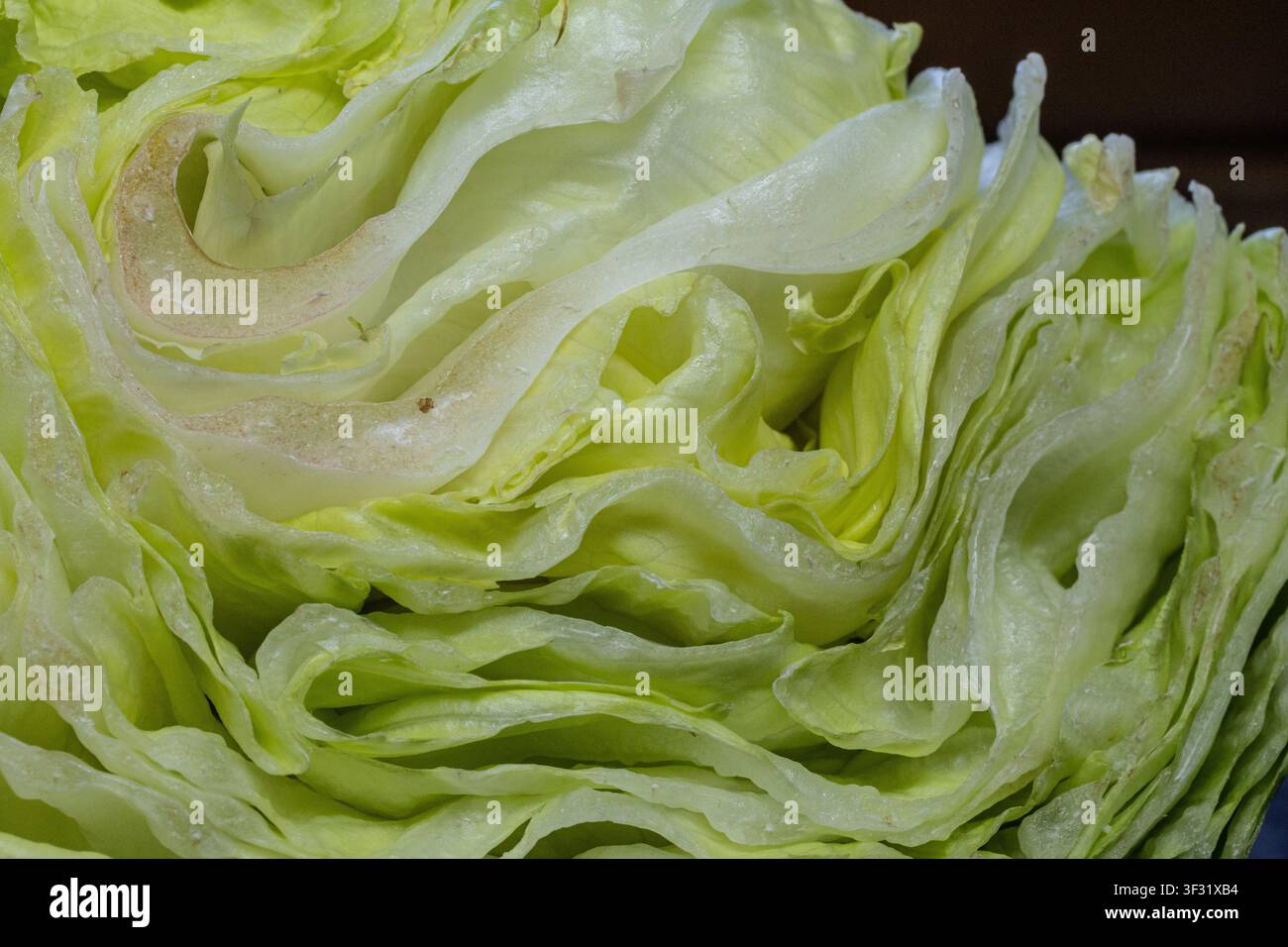 großartiger grüner Kohl als Kraftnahrung in der Nähe Stockfoto