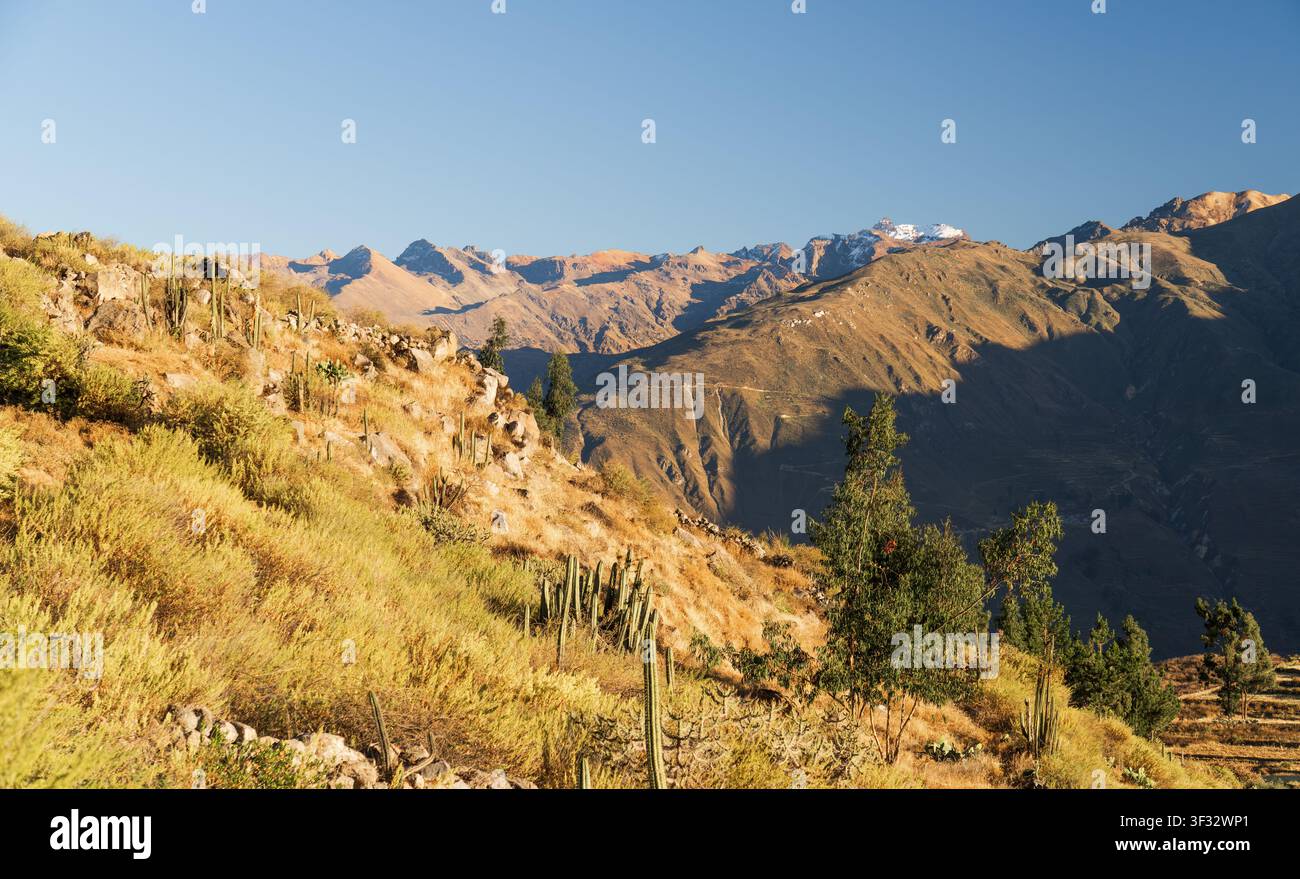 das Colca-Canyon-Tal, Peru, mit den von der Morgensonne beleuchteten Anden Stockfoto