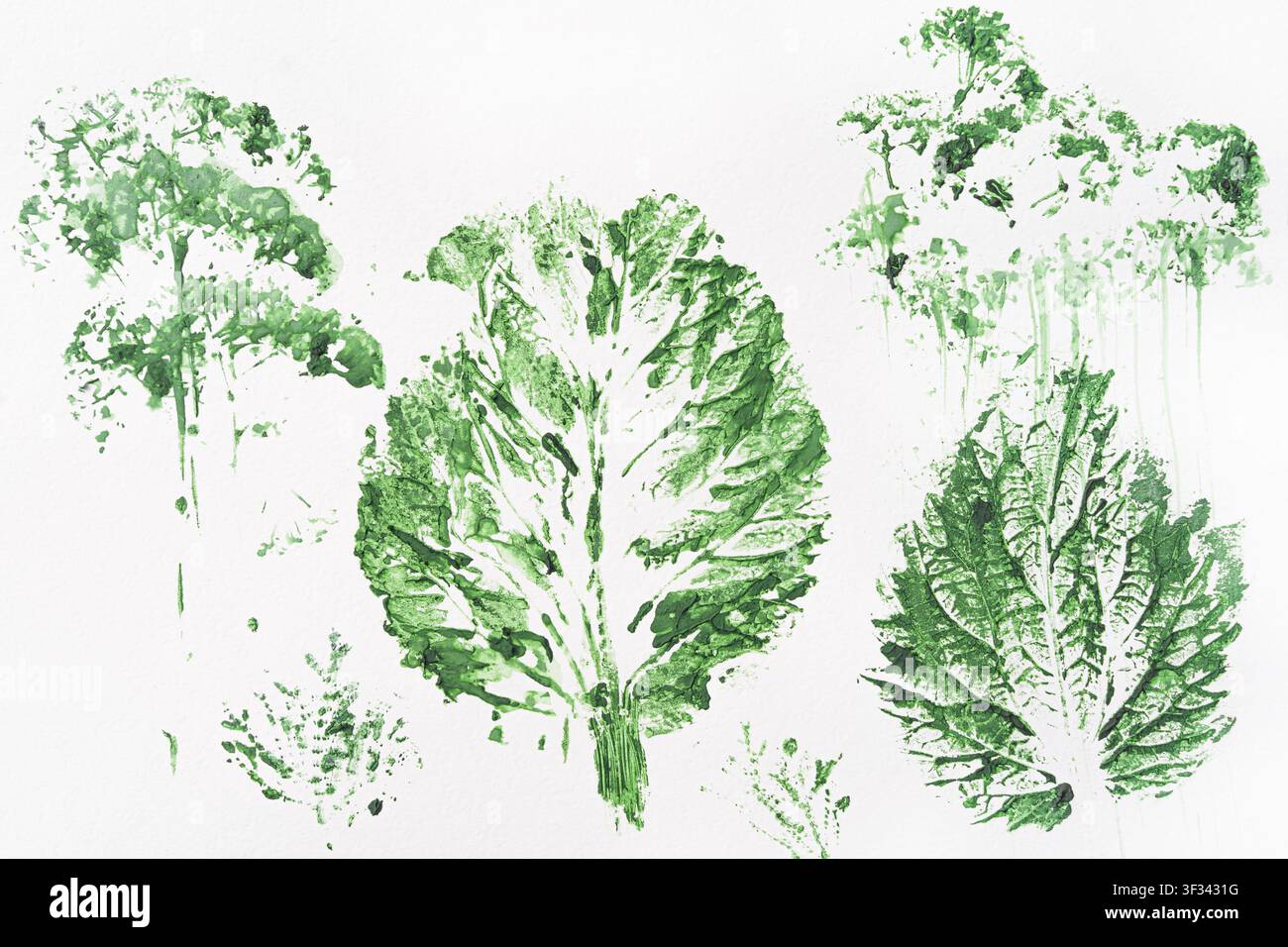 Abstrakte grüne Blatt-Druckkunst, die ein Waldthema erschafft. Von der Natur inspiriertes Gemälde mit organischen Texturen Stockfoto