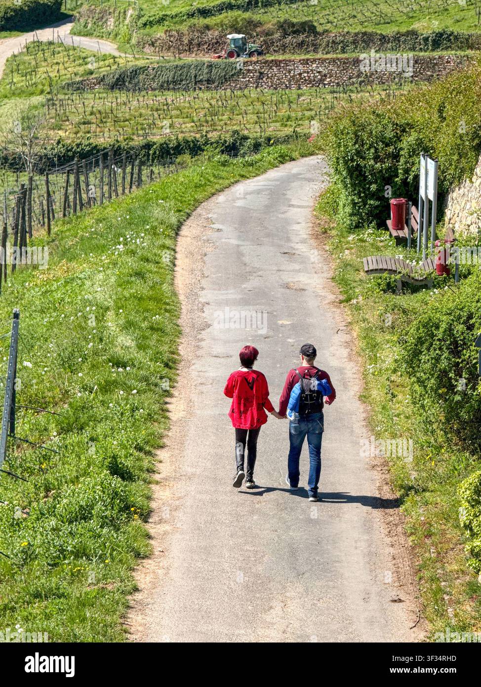 Rüdesheim am Rhein, Deutschland - 17. April 2026: Panoramablick auf ein Mann und eine Frau, die Hand in Hand durch Weinberge über der Stadt Rudesheim spazieren - Smartphone-aufgenommenes Stockfoto