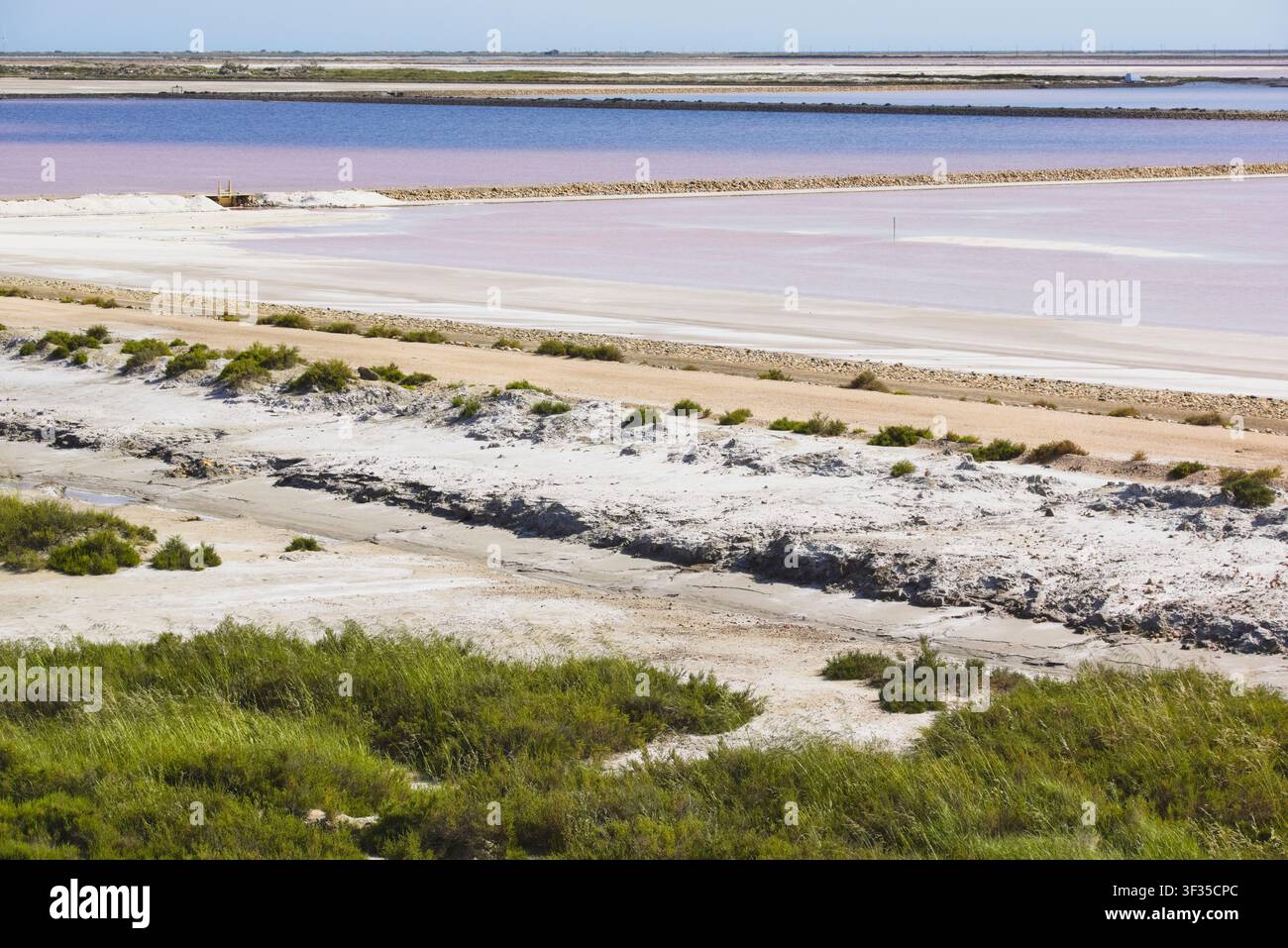 Weite Salzpfannen mit auffallend rosa und lila Verdampferteichen, umgeben von weißen Salzkrusten in der Camargue, Frankreich. Stockfoto