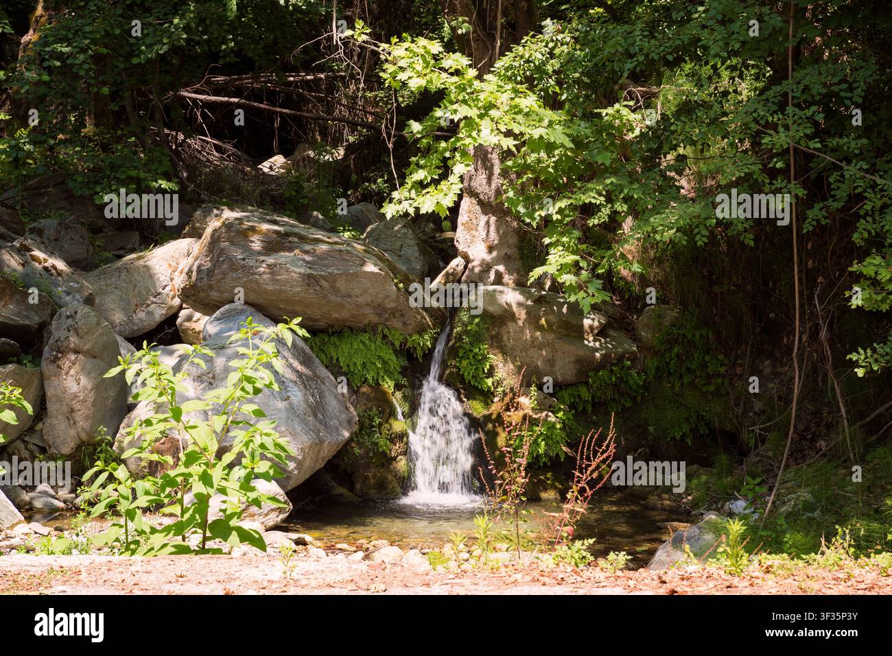 Wunderschöne Landschaft auf dem Berg in Tsagarada, Pelion, Zentralgriechenland Stockfoto