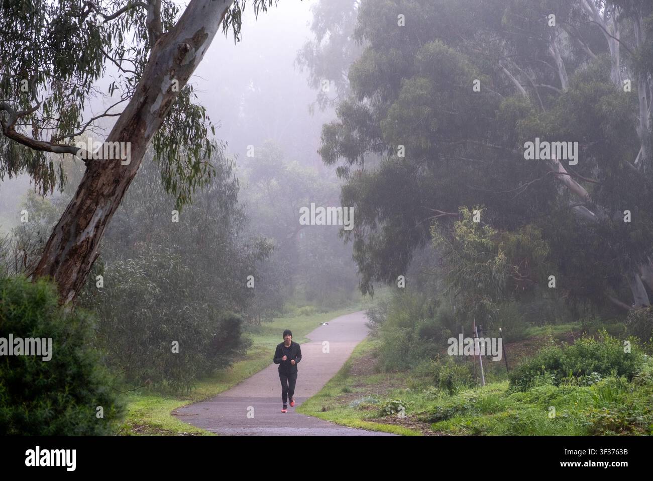 Ein Mann läuft am Merri Creek-Pfad an einem nebligen Morgen in Clifton Hill, Melbourne Victoria, Australien. Stockfoto