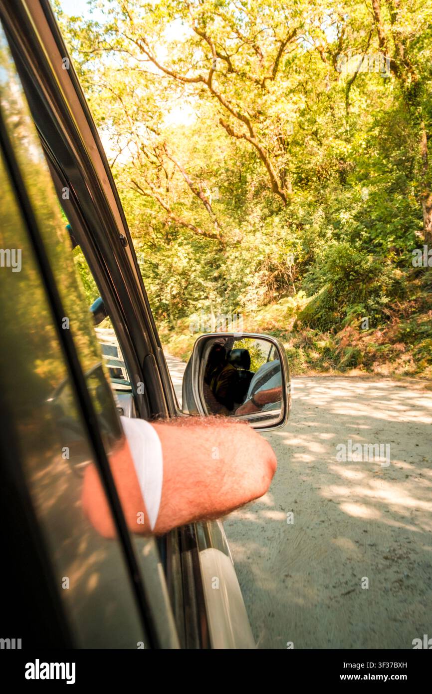 Entspannter Arm einer Person, der die Brise während einer Autofahrt durch einen sonnigen Wald genießt Stockfoto