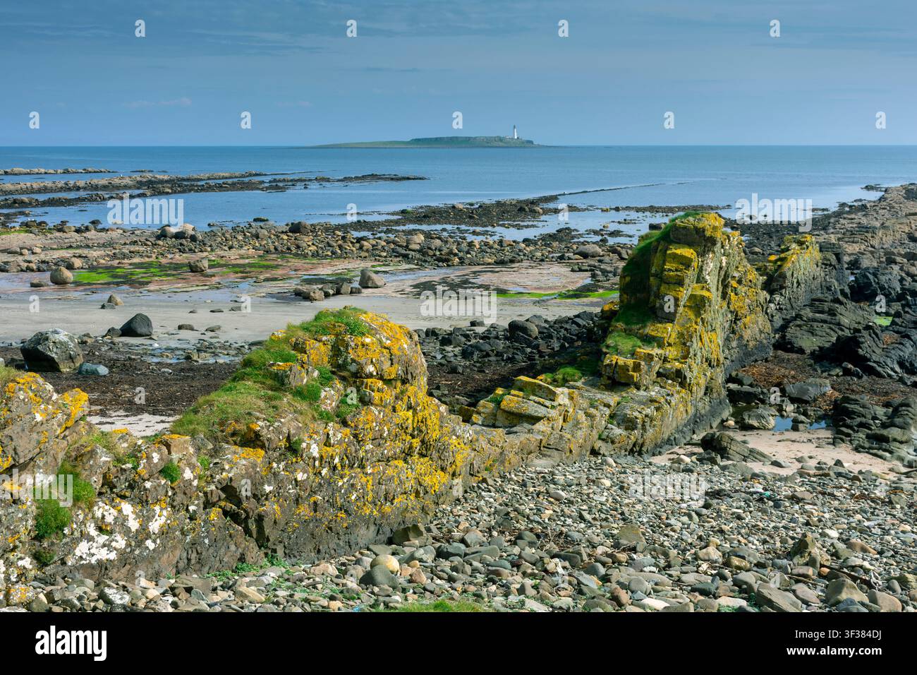 Basalt-Dyke am Küstenweg von Kilidonan, mit der Insel Pladda in der Ferne, Kildonan, Isle of Arran, Schottland, UK Stockfoto