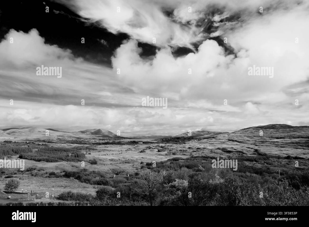 Monochromatische Panoramablick über die raue ländliche Landschaft der Beara-Halbinsel in Richtung Castletownbere und Bantry Bay, County Cork, Irland. Stockfoto