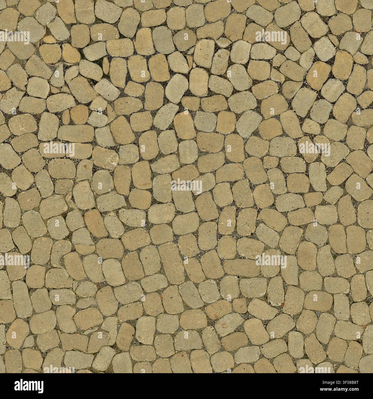 Eine oberhalb von oben nach unten gerichtete Ansicht von glatten beigen Kopfsteinpflastersteinen, die einen Mosaikbodenhintergrund bilden. Stockfoto