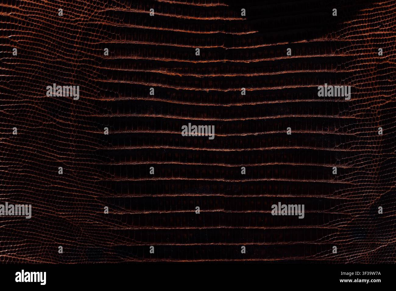 vintage braune Alligatorleder-Textur Stockfoto